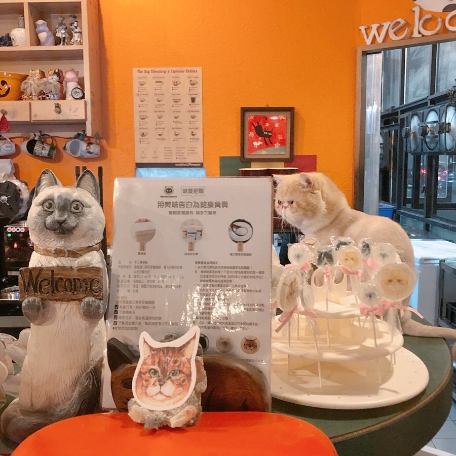 艾隆義式餐廳貓咪